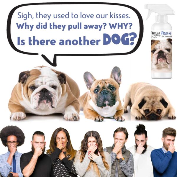 Fresh Flat Face Wash | Flat & Wrinkle Dog Faces - Image 8