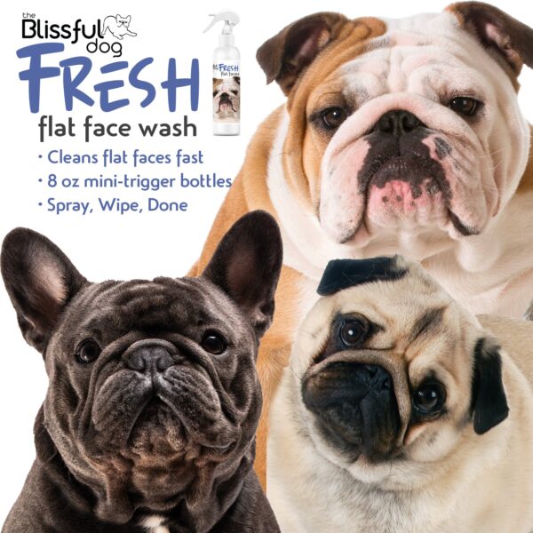 Fresh Flat Face Wash | Flat & Wrinkle Dog Faces - Image 2