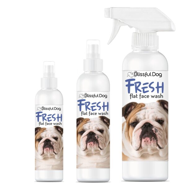 Fresh Flat Face Wash | Flat & Wrinkle Dog Faces - Image 7