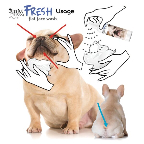 Fresh Flat Face Wash | Flat & Wrinkle Dog Faces - Image 3