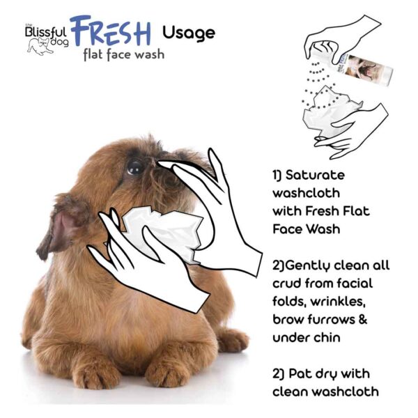 Fresh Flat Face Wash | Flat & Wrinkle Dog Faces - Image 4