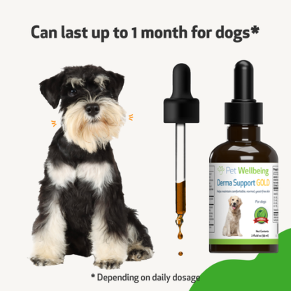 Pet Wellbeing - Derma Support Gold - Dog - Image 5