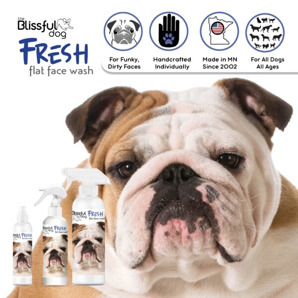 Fresh Flat Face Wash | Flat & Wrinkle Dog Faces - Image 11