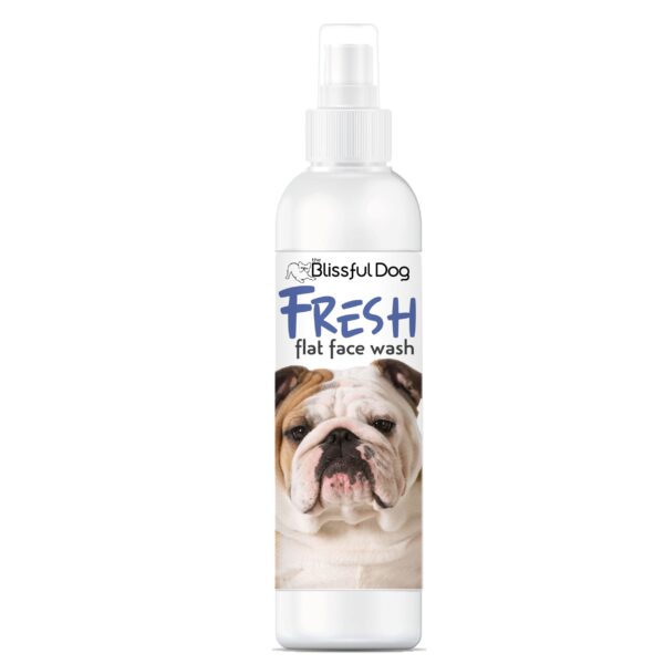 Fresh Flat Face Wash | Flat & Wrinkle Dog Faces - Image 12