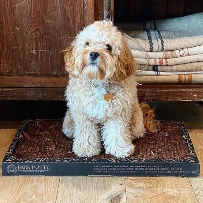 Bark Potty Large (30 x 20)